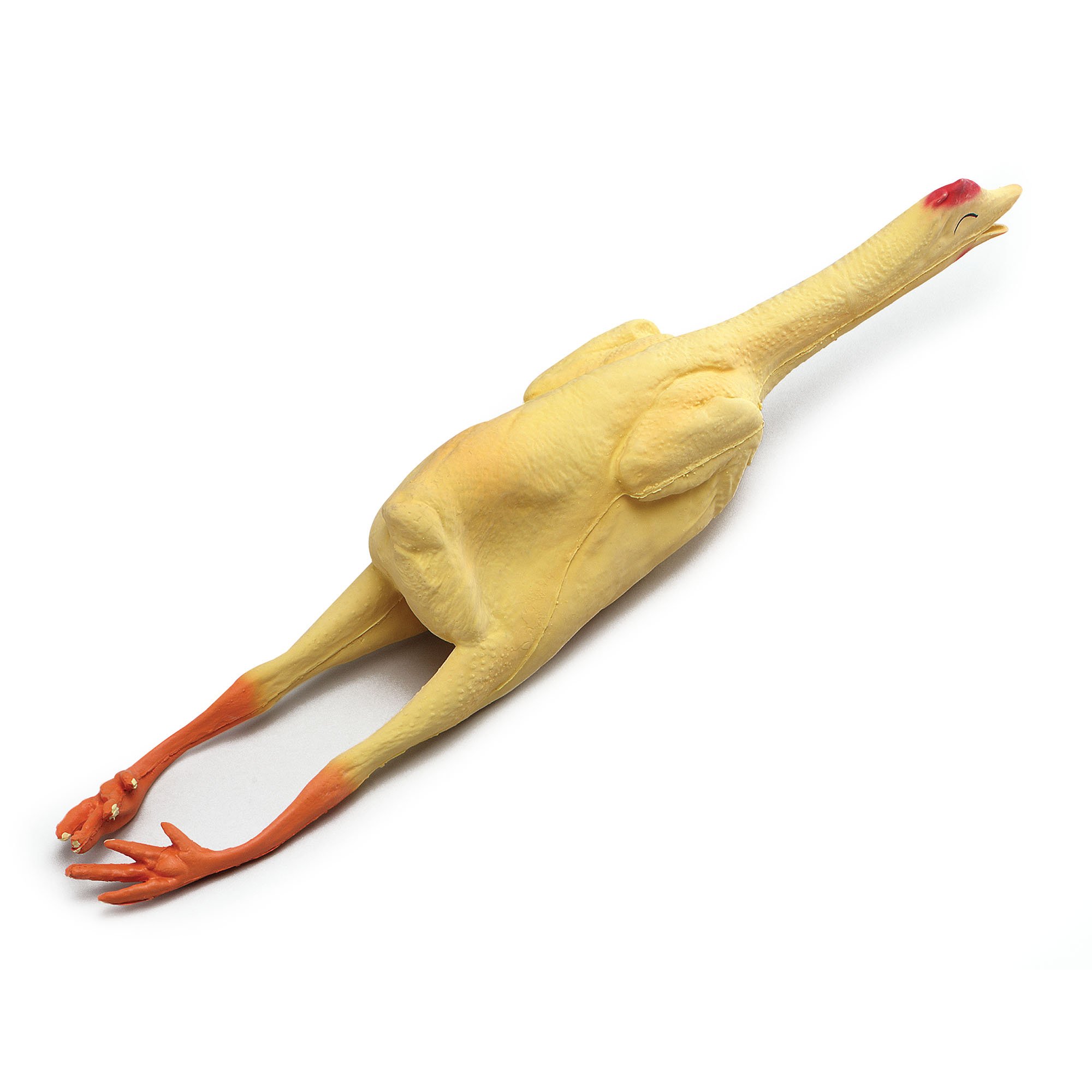 Amazon.com: Bristol Novelty GJ036 Rubber Chicken Plucked Joke Prop